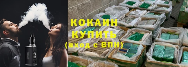 индика Окуловка