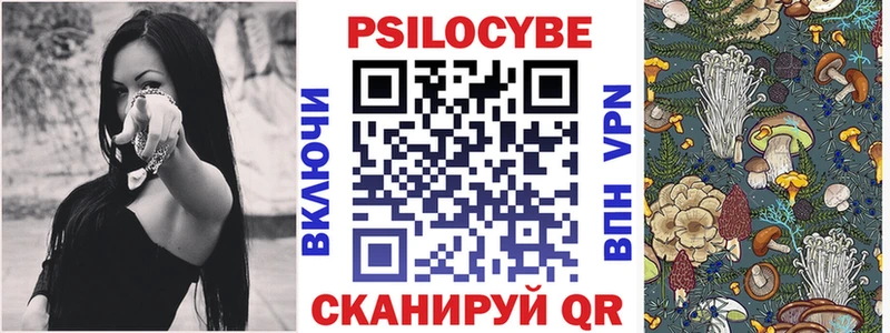 Псилоцибиновые грибы Psilocybine cubensis магазин продажи наркотиков Иркутск