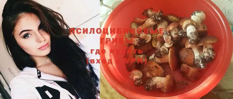 где продают наркотики  Иркутск  Галлюциногенные грибы Psilocybine cubensis 