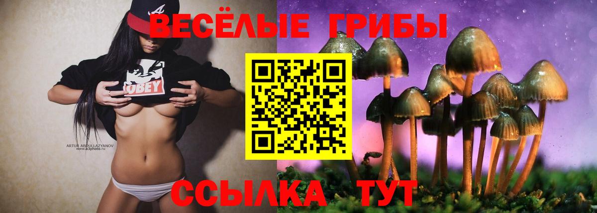 Псилоцибиновые грибы прущие грибы  Галлюциногенные грибы MAGIC MUSHROOMS  Вход с VPN  Иркутск 
